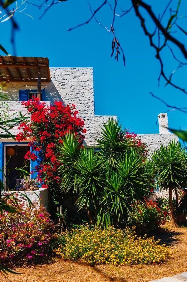 Santa Maria Traditional Stone Studio Dış mekan fotoğraf